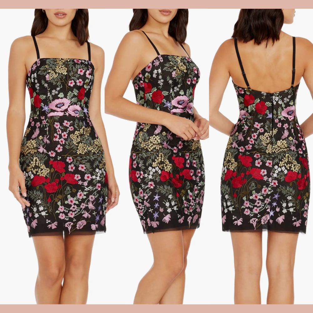 New $288 Dress The Population [ Small ] Kyla Floral Embroidered Mini Dress Q1017